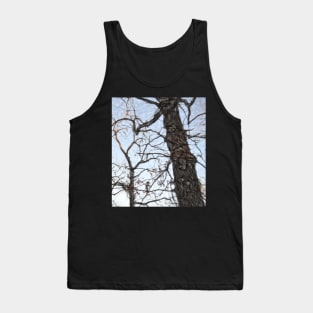 Trees 39 by Kristalin Davis Tank Top